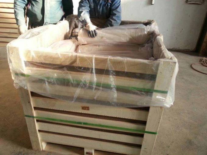 El magnesio detr&aacute;s llen&oacute; el &aacute;nodo preembalado