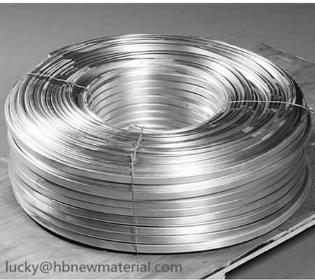 Anodo de magnesio de cinta extrudida ASTM B843 para su uso en una multitud de aplicaciones de protección proveedor